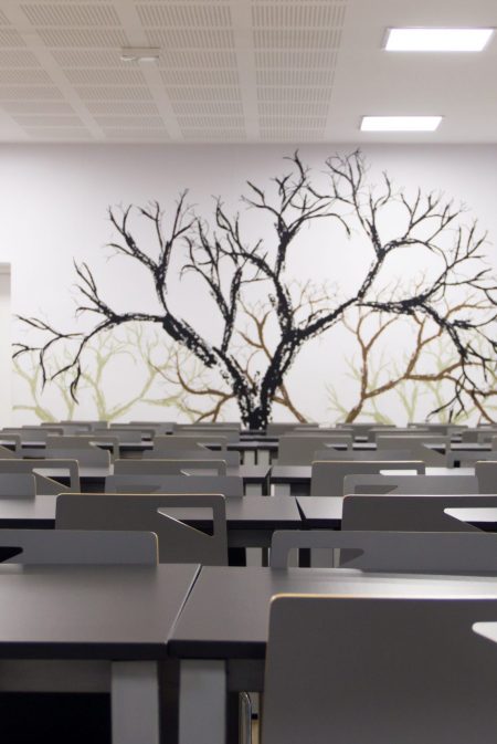 Colegio_ASV_09